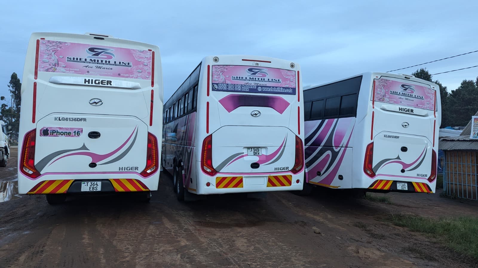 Travel in Style: A Look at Shelmith Line's Luxurious Amenities