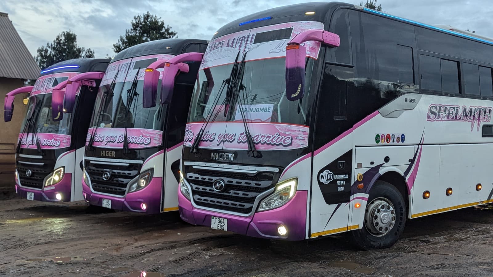 Top 5 Scenic Routes to Explore with Shelmith Line