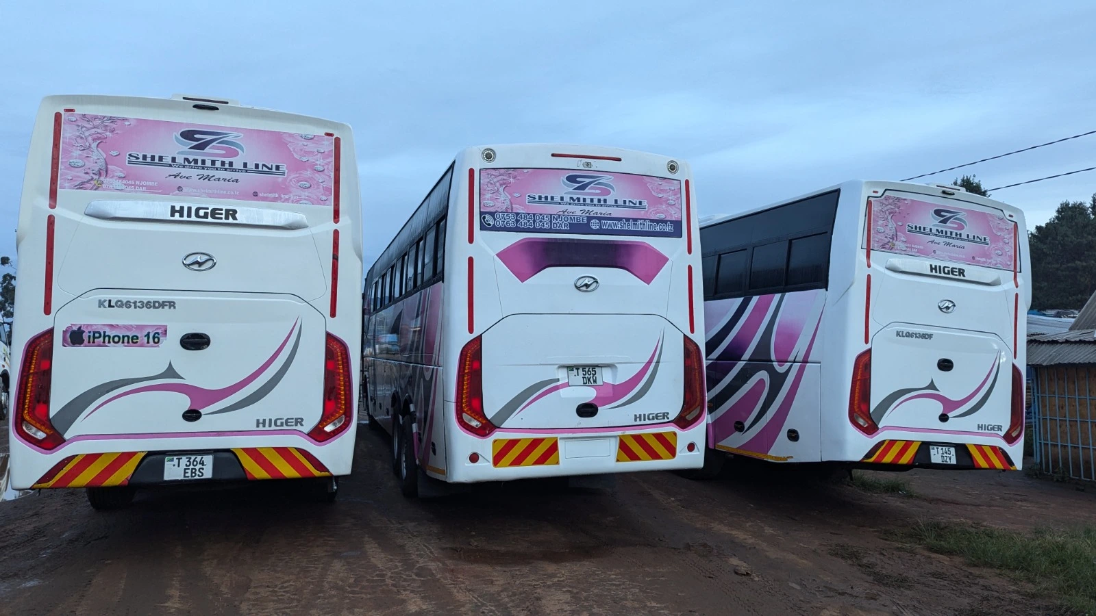 Shelmith Line pink bus