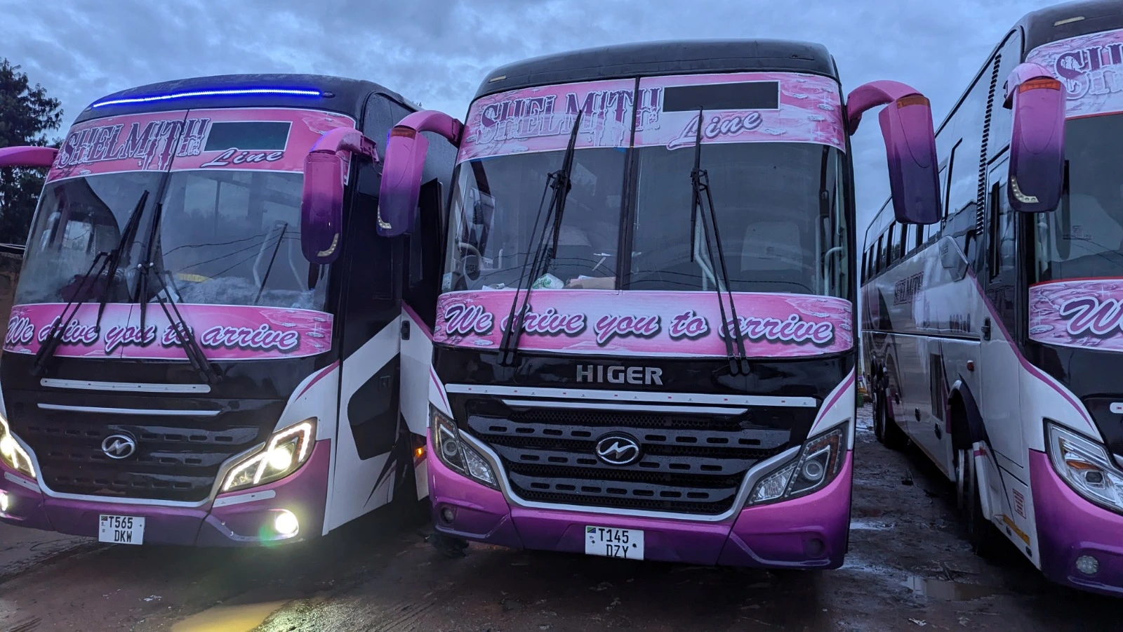 White Shelmith Line Bus